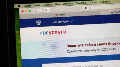 Эксперт назвал отличия официального портала госуслуг от мошеннического - iz.ru - Израиль