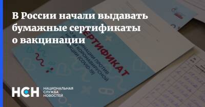Михаил Мишустин - В России начали выдавать бумажные сертификаты о вакцинации - nsn.fm - Россия