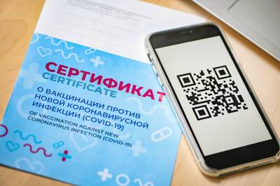 Россияне оценили идею выдачи QR-кодов при высоких антителах - tvc.ru