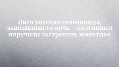Лиса укусила сельчанина, защищавшего дочь – охотникам поручили застрелить животное - chelny-izvest.ru - Набережные Челны