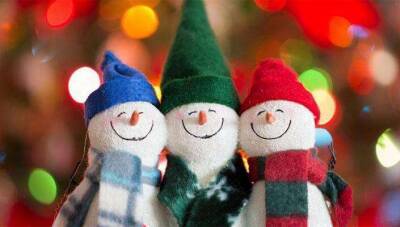Отмена новогодних праздников в 2022 году, будет или нет, что сказали в Госдуме - yur-gazeta.ru - Россия
