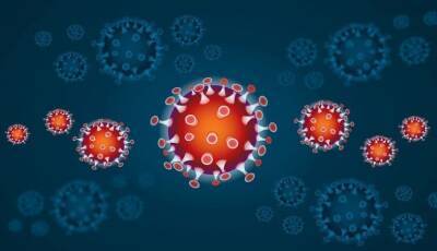 Учёные разработали экспресс-метод выявления антител в организме к новым штаммам коронавируса - actualnews.org - Сша - Сингапур