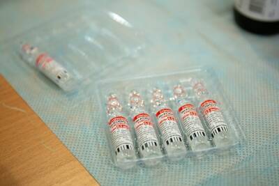 В Хакасии фельдшер за взятки выдала более 90 фиктивных справок о вакцинации - znak.com - республика Хакасия