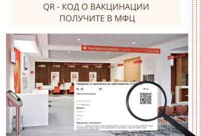 Михаил Мишустин - QR-код в бумажном виде теперь можно получить в МФЦ - online47.ru - Россия