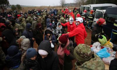 Красный Крест сообщил о гибели 10 мигрантов на польско-белорусской границе - og.ru - Белоруссия - Польша