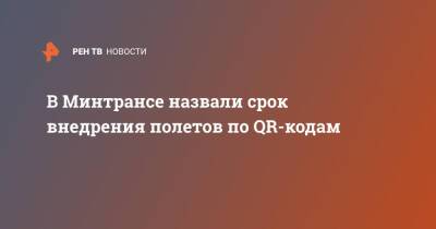 Кирилл Богданов - В Минтрансе назвали срок внедрения полетов по QR-кодам - ren.tv - Россия - Минтранс