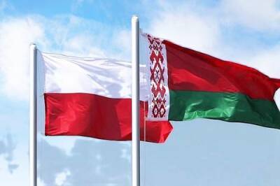 Польскую пограничницу мигранты ранили камнем - argumenti.ru - Белоруссия - Польша