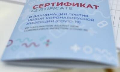 У привитых, заболевших COVID-19, сертификат о вакцинации аннулируется - mirnov.ru - Россия