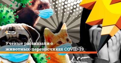 Ученые рассказали о животных-переносчиках COVID-19 - ridus.ru