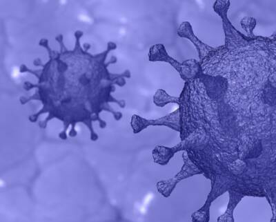 Ученые: Мужчины чаще женщин распространяют коронавирус - actualnews.org - штат Колорадо