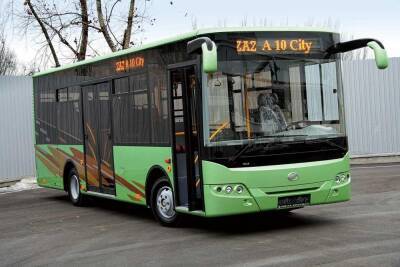 Маршрутки в Запорожье хотят заменить на автобусы от ЗАЗ: петицию рассмотрят депутаты - inform.zp.ua - Украина - Запорожье