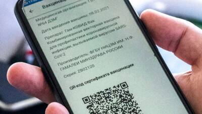 Хабаровский край первым в РФ ввел QR-коды на авиарейсах - svoboda.org - Россия - Хабаровский край