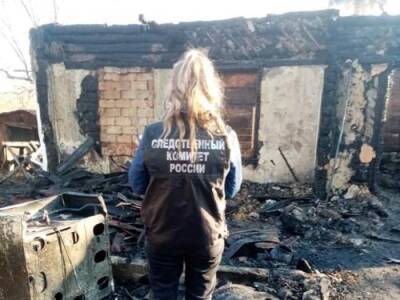 В результате пожара в доме под Воронежем погибли 33-летняя мать и пятеро её детей - argumenti.ru - Воронеж - Воронежская обл.