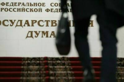 Владимир Жириновский - Министры смогут пройти на заседание Госдумы по QR-кодам - pnp.ru - Россия