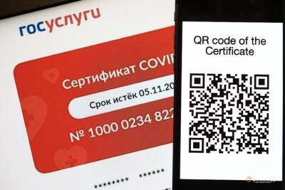 За что аннулируют QR-код и кому отменили карантины — разбираем нововведения - chita.ru