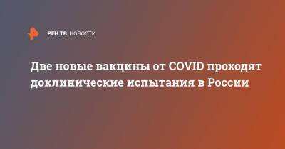 Владимир Путин - Михаил Мурашко - Две новые вакцины от COVID проходят доклинические испытания в России - ren.tv - Россия