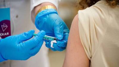 Михаил Мурашко - Минздрав сообщил о доклинических исследованиях двух вакцин от COVID-19 - vm.ru