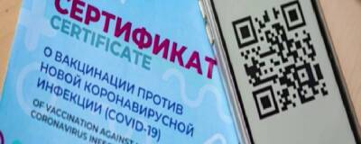 Жители РТ могут получить QR-код о вакцинации без регистрации на портале Госуслуг - runews24.ru