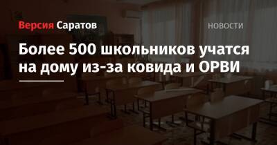 Более 500 школьников учатся на дому из-за ковида и ОРВИ - nversia.ru - Саратовская обл.
