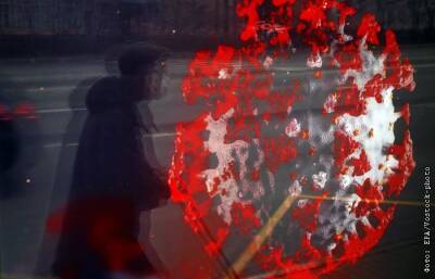 В России обновлен антирекорд по числу умерших от COVID-19 за сутки - interfax.ru - Россия - Москва