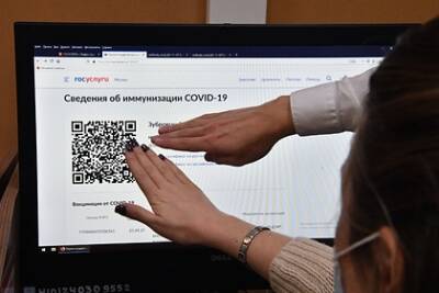 Максут Шадаев - В России предложили ограничить проверку QR-кодов - lenta.ru - Россия