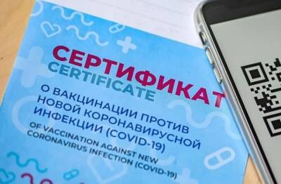 Бумажный сертификат о вакцинации в МФЦ получили почти 2300 ульяновцев - ulpravda.ru - Ульяновская обл.