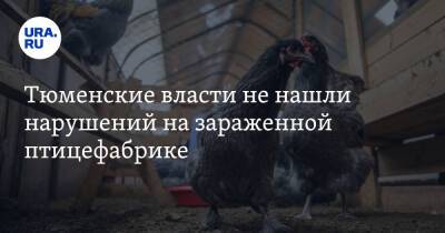 Тюменские власти не нашли нарушений на зараженной птицефабрике - ura.news - Тюменская обл.