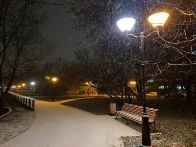 Первая снежная метель прошла в некоторых районах Москвы - yur-gazeta.ru - Москва