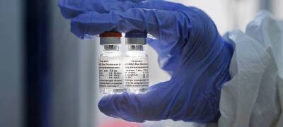 Эксперт назвал условия, при которых иностранные вакцины могут появиться в России - stolicaonego.ru - Россия