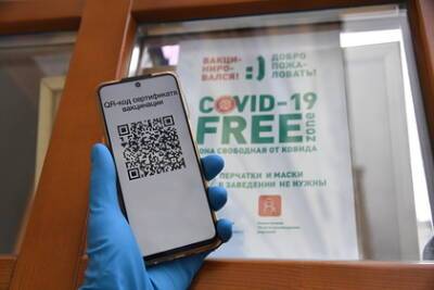 Алексей Мартынов - В России допустили введение вторых паспортов в виде QR-кодов - lenta.ru - Россия - Израиль