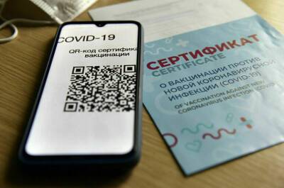 Максут Шадаев - В Минцифры хотят изменить систему проверки QR-кодов - pnp.ru - Москва