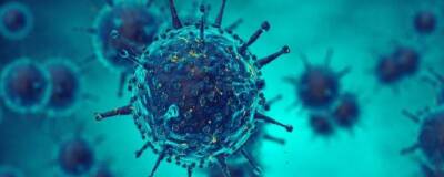 Spectator: Ученые нашли доказательства утечки коронавируса из лаборатории Уханя - runews24.ru - Китай - Ухань - Лаос