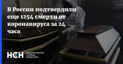 В России подтвердили еще 1254 смерти от коронавируса за 24 часа - nsn.fm - Россия