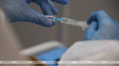 Почти треть жителей Брестской области получили прививки против коронавируса - belta.by - Белоруссия - Брестская обл.