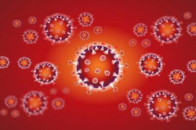 Татьяна Голикова - «НИ»: почему в Японии уже не умирают от коронавируса - infox.ru - Россия - Япония