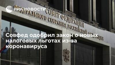 Совфед одобрил закон о налоговых льготах для граждан и организаций из-за коронавируса - smartmoney.one - Россия