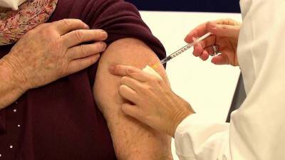 Австрия вводит всеобщую обязательную вакцинацию от коронавируса - 1tv.ru - Австрия