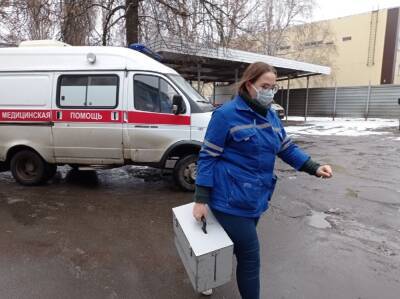 Работники «Скорой помощи» в Липецке и Ельце получили первые доплаты за работу в пандемию - lipetskmedia.ru - Липецк