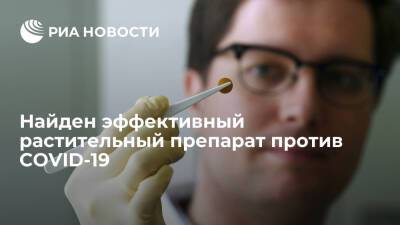 Найден эффективный растительный препарат против COVID-19 - ria.ru - Москва - Англия