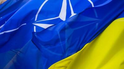 Украина впервые примет участие в учениях НАТО по противоминной защите - ru.slovoidilo.ua - Украина - Бельгия