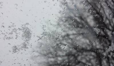 Мокрый снег с дождём в Запорожье: прогноз погоды на 20 ноября - inform.zp.ua - Украина - Запорожье