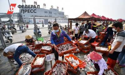 Биолог определил первого в мире заболевшего коронавирусом - fedpress.ru - Москва