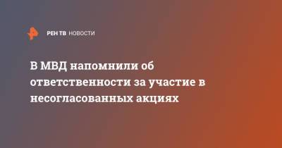 В МВД напомнили об ответственности за участие в несогласованных акциях - ren.tv - Россия