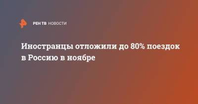 Юрий Барзыкин - Иностранцы отложили до 80% поездок в Россию в ноябре - ren.tv - Россия