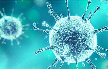 В США испытали новый тест на коронавирус - charter97.org - Белоруссия - Сша