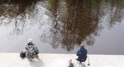 Стало известно, почему петербуржцы любят рыбачить в центре города - neva.today - Петербурга