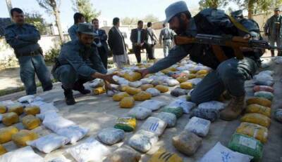 Приход талибов* к власти не уменьшил масштабы производства наркотиков в Афганистане - news-front.info - Россия - Афганистан