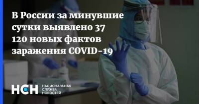 В России за минувшие сутки выявлено 37 120 новых фактов заражения COVID-19 - nsn.fm - Россия