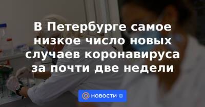 В Петербурге самое низкое число новых случаев коронавируса за почти две недели - news.mail.ru - Россия - Санкт-Петербург - Москва