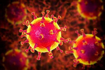 Может ли коронавирус долго оставаться на поверхности и вызвать массовое заражение? - новое исследование и мира - cursorinfo.co.il